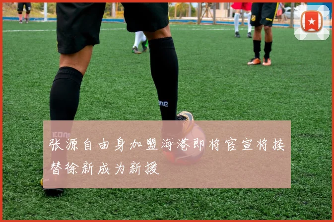 张源自由身加盟海港即将官宣将接替徐新成为新援