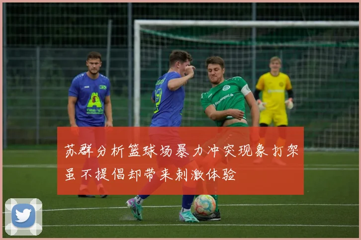 苏群分析篮球场暴力冲突现象打架虽不提倡却带来刺激体验