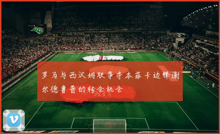 罗马与西汉姆联争夺本菲卡边锋谢尔德鲁普的转会机会