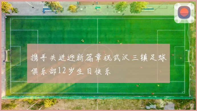 携手共进迎新篇章祝武汉三镇足球俱乐部12岁生日快乐